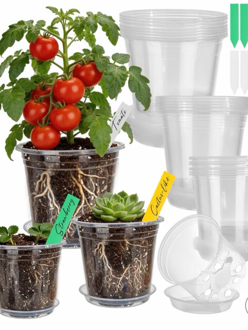 Macetas transparentes para plantas
